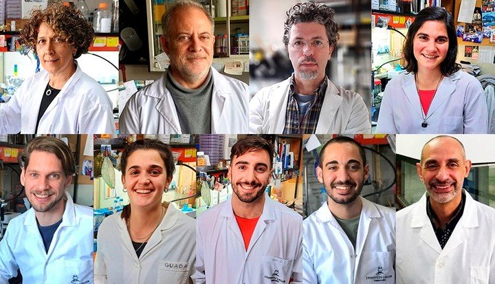 El equipo que creo COVIDAR IgG e IgM, los test serologicos argentinos para COVID-19.