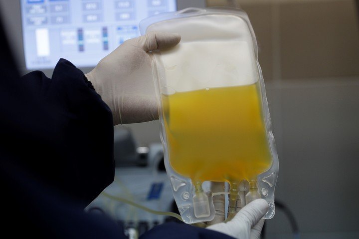 Los anticuerpos estan contenidos en el plasma, la parte amarillenta y liquida de la sangre./Foto AP /Juan Karita.