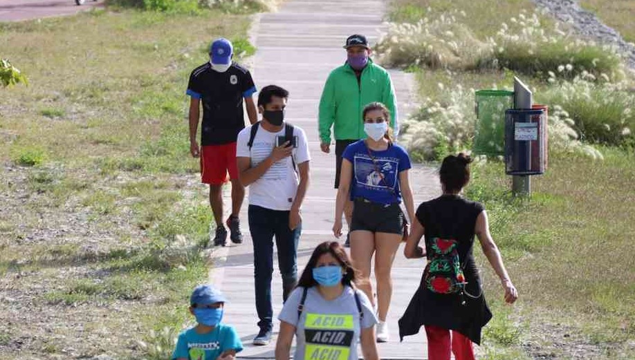 Coronavirus en Argentina. Jujuy tuvo 295 casos positivos