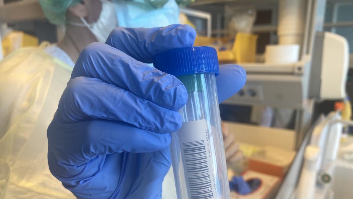 Prueba PCR Prueba PCR
