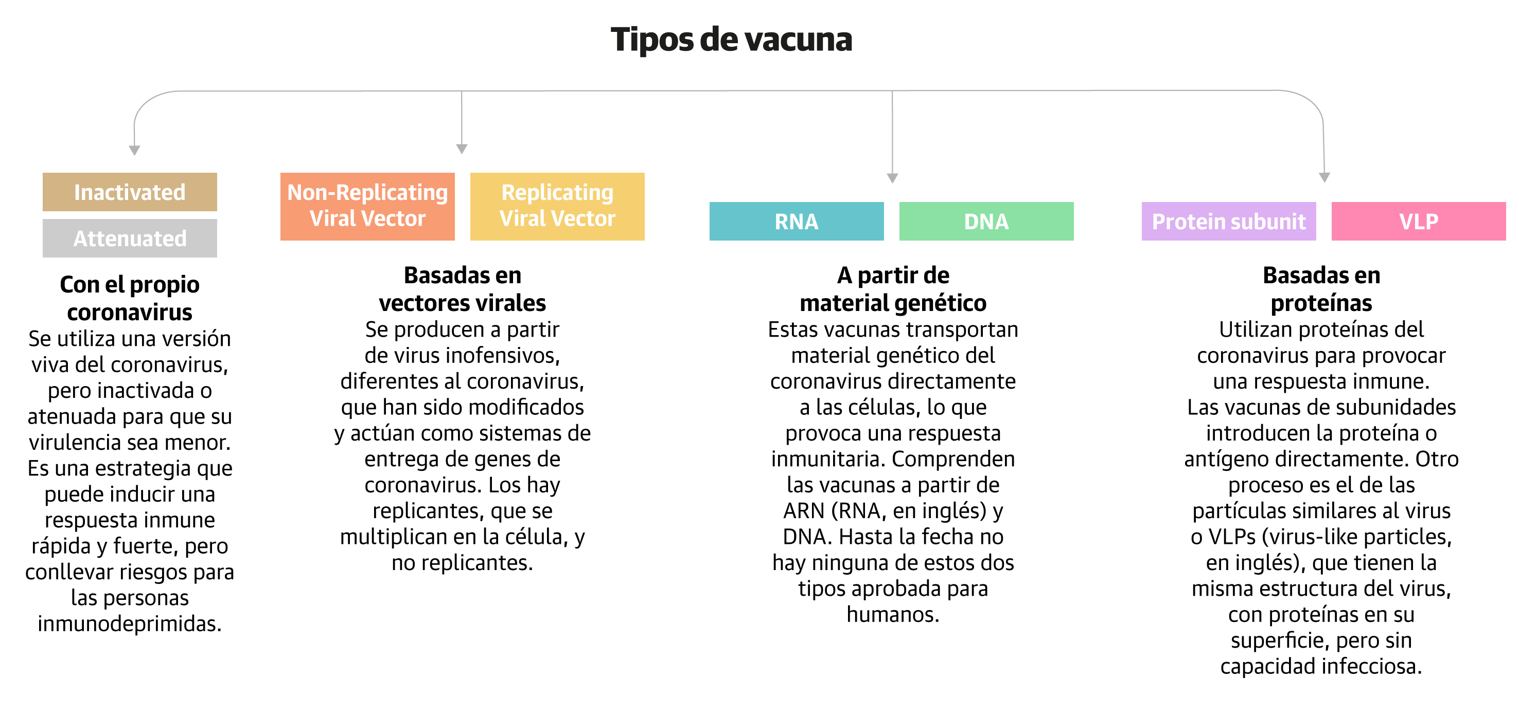 Asi marcha la carrera por conseguir la vacuna contra el coronavirus