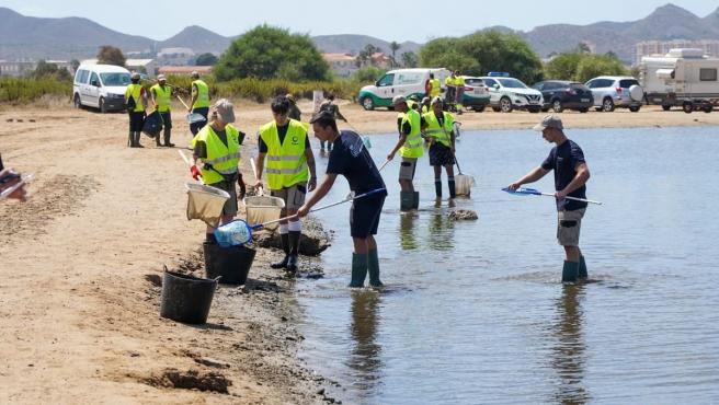 Cartagena apoya la declaración de Emergencia del Mar Menor para conseguir inversiones contra los vertidos