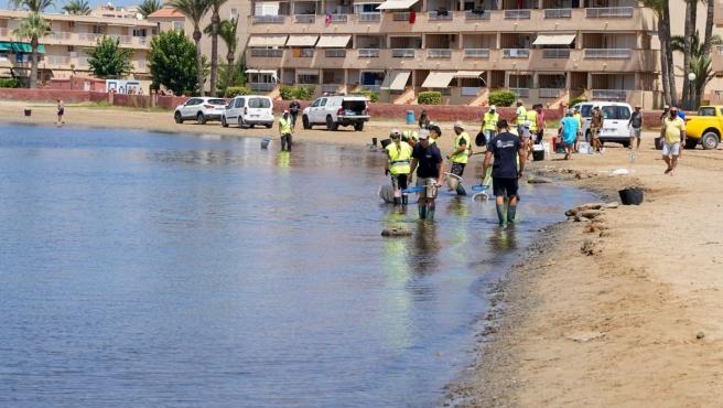 Colegio Biólogos de Murcia reclama que se reduzcan los regadíos ilegales