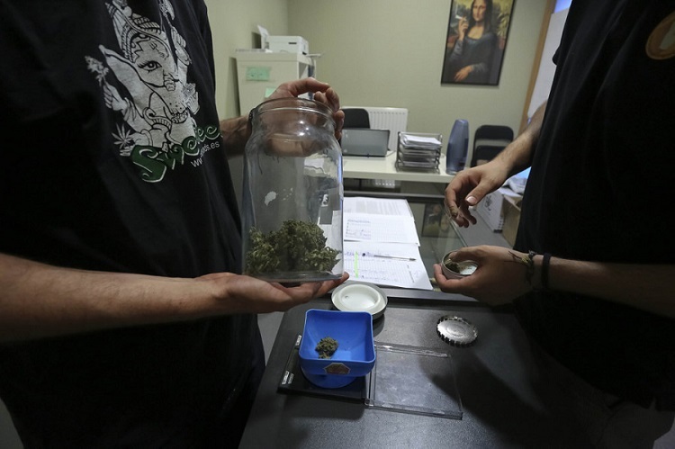 Llega al Congreso para su admision a tramite la primera de las tres incitativas de legalizar el uso del cannabis