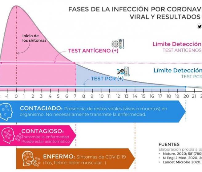 Fases de la infeccion.