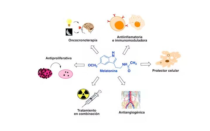 Estructura quimica de la melatonina y propiedades.