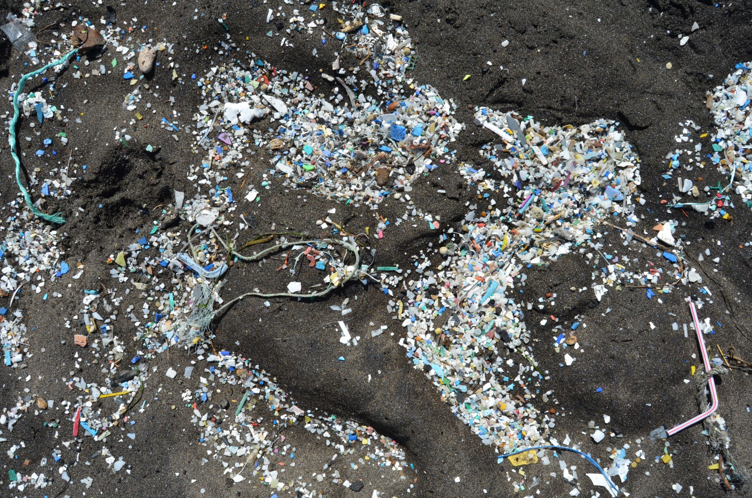 (Life Phoenix) El proyecto se enfoca en la problematica de la reutilizacion de aguas residuales para el regadio, ademas de la creciente amenaza que suponen los contaminantes emergentes y microplasticos. Como solucion, propone aumentar la eliminacion de materia organica, solidos y patogenos de las aguas residuales mediante una combinacion de sedimentacion, filtracion, flotacion y tecnologias biologicas de alta eficiencia.