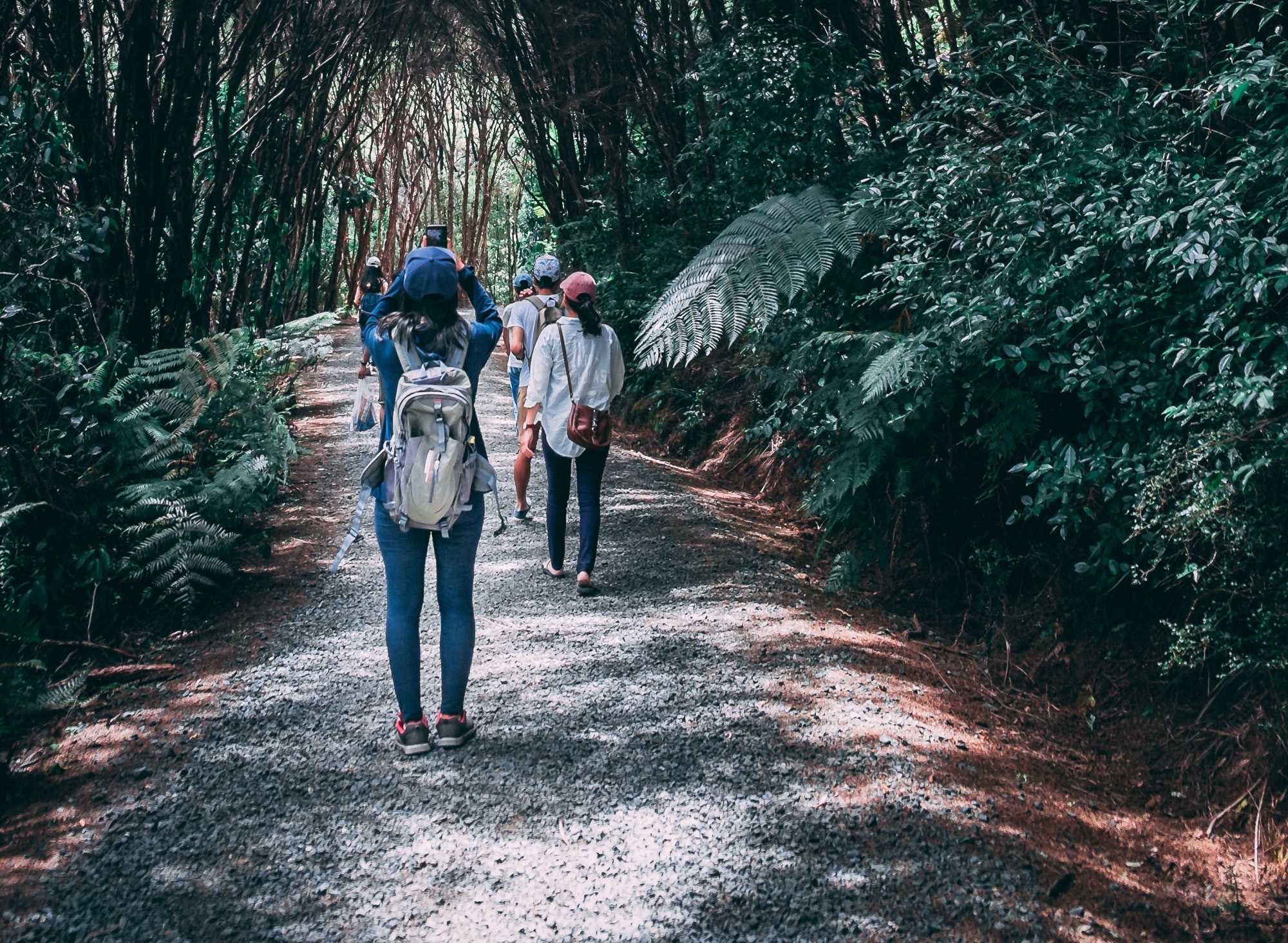 Paseo por el bosque