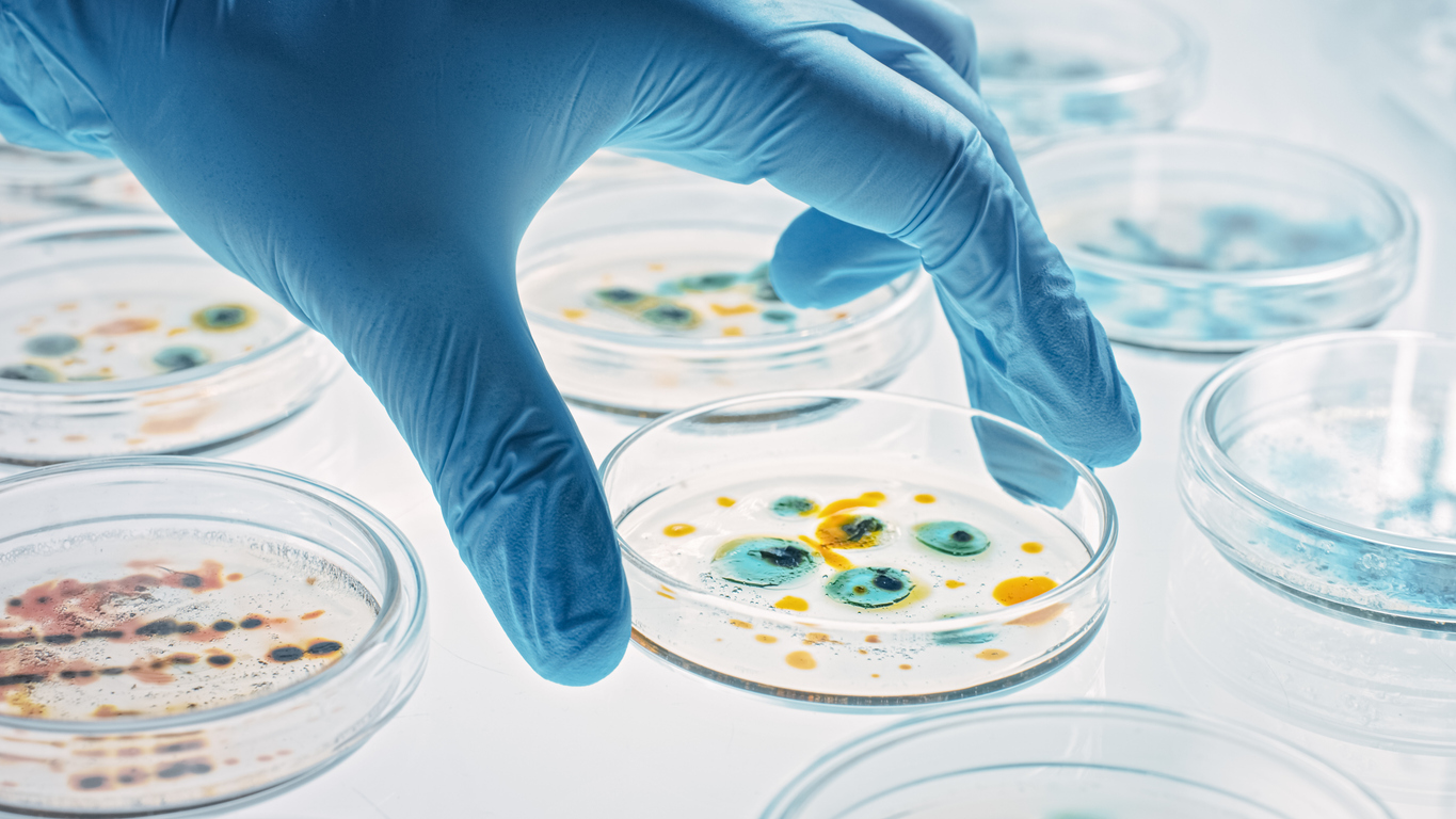 Hasta ahora, este gen, que concede resistencia a ciertos antibioticos, se ha hallado en tres especies bacterianas con una amplia distribucion mundial.