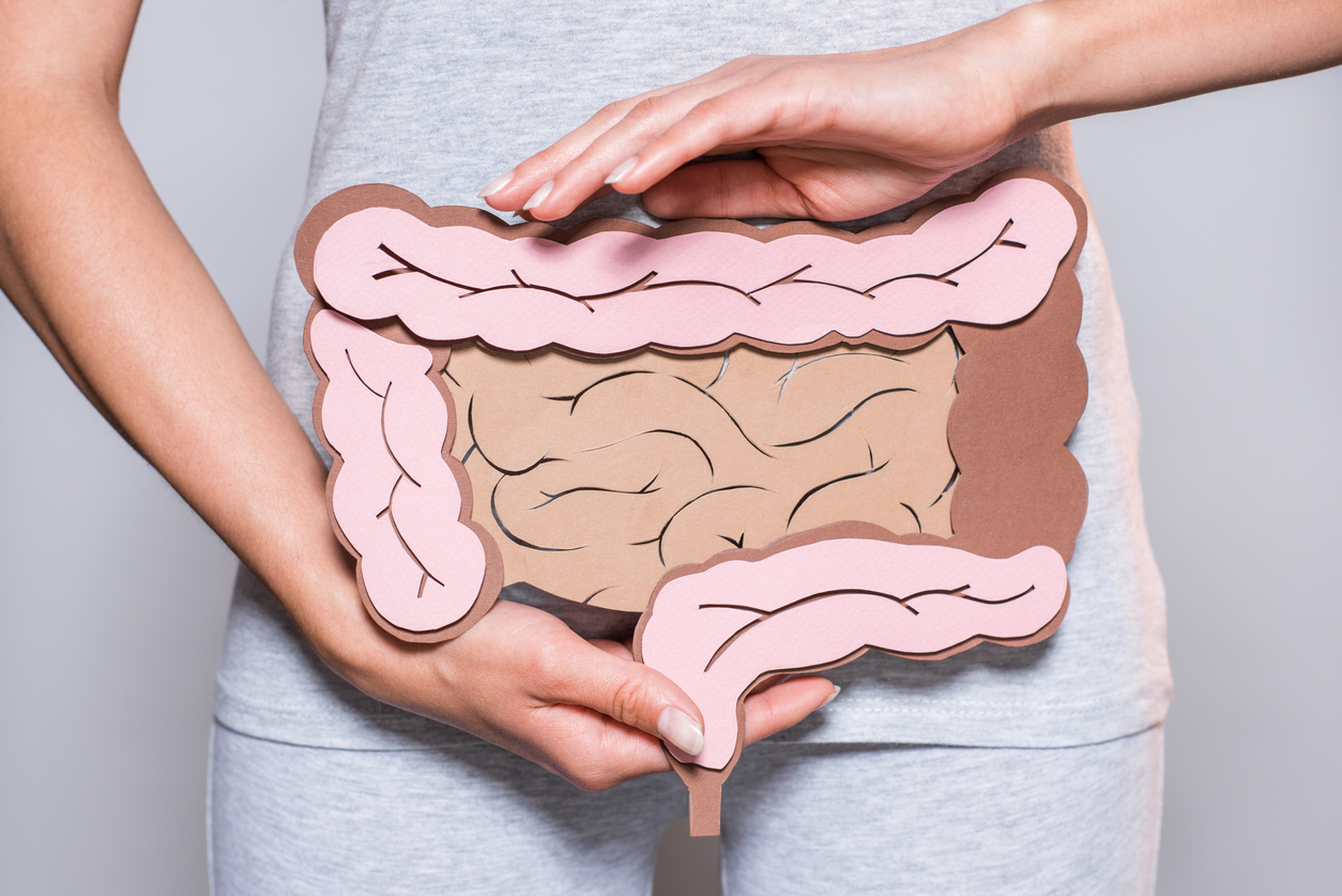 El intestino está considerado como el segundo cerebro.