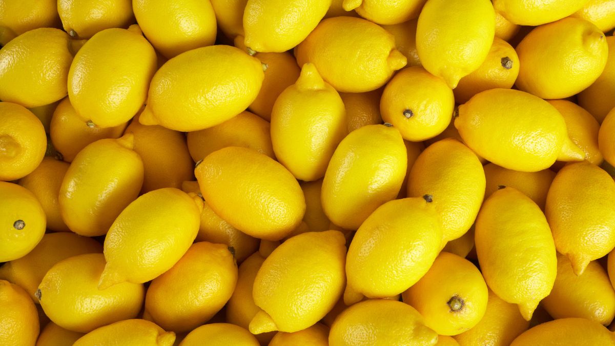 Limón