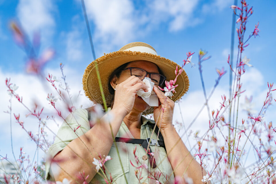 Beneficios de la ashwagandha que no todo el mundo conoce: de calmar la ansiedad a regular el azúcar en sangre
