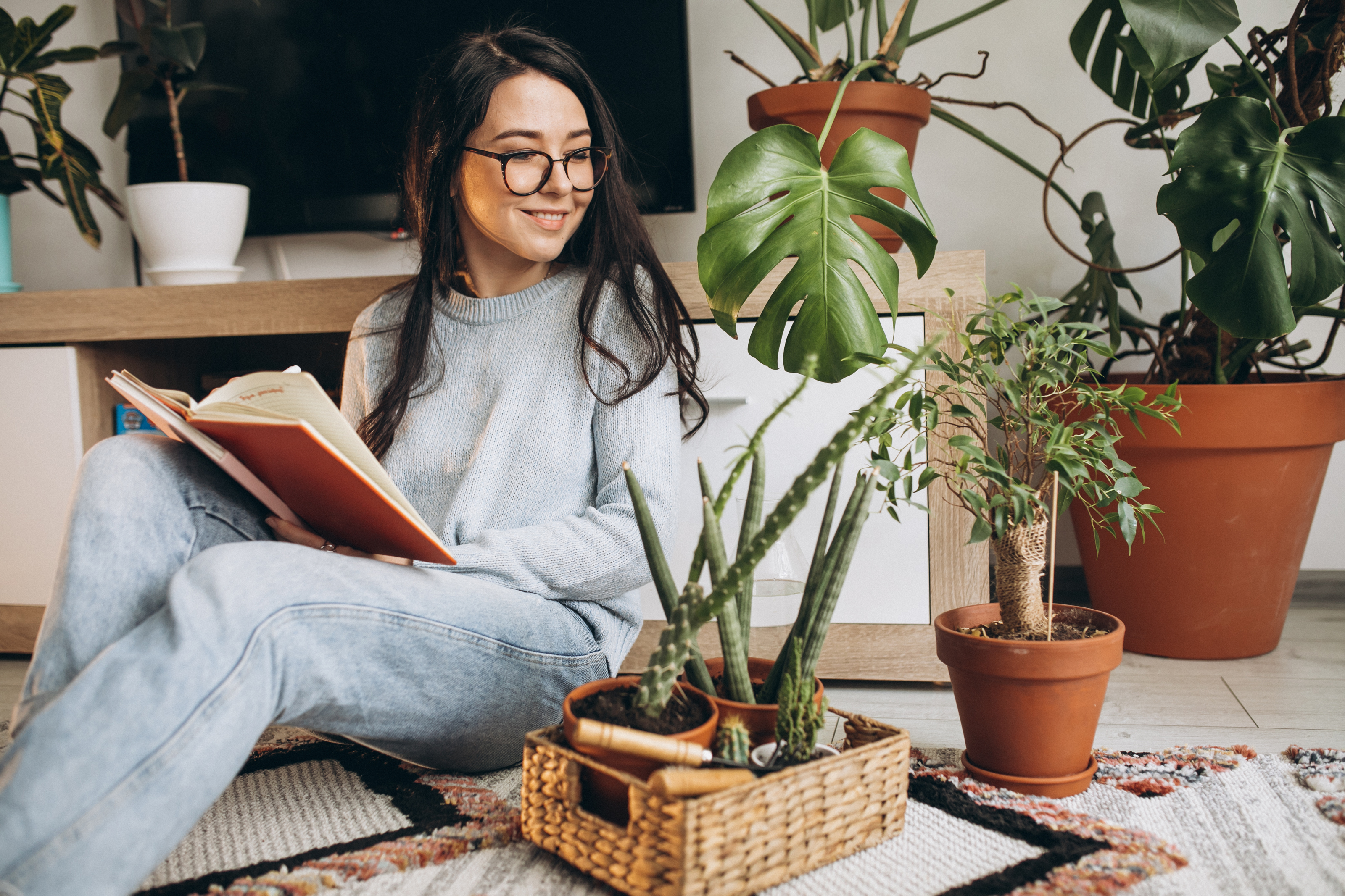 Es mejor la calidad y la salud de las plantas en casa que la cantidad.